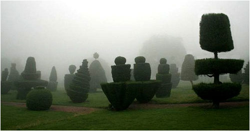 Misty topiary scene at Fingask Castle