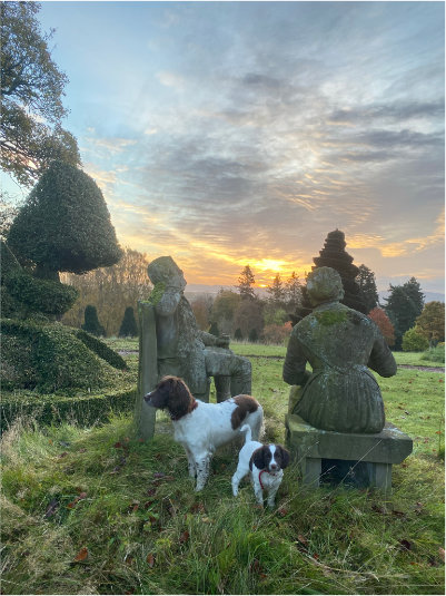 Dogs at Fingask Castle, Scotland