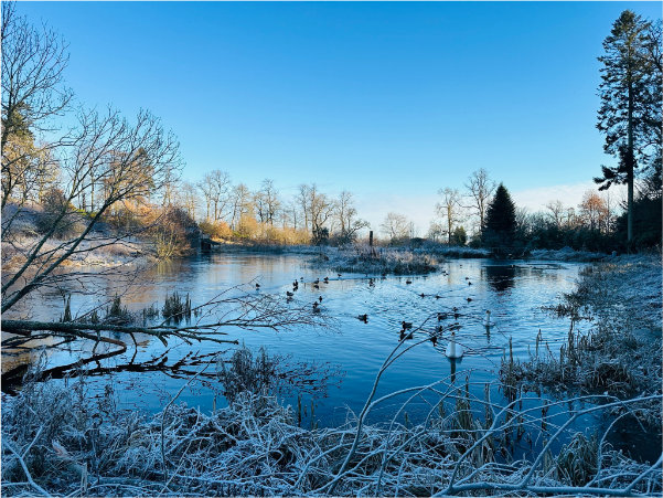 Frosty lake next to Sir Stuarts House, Fingask Castle