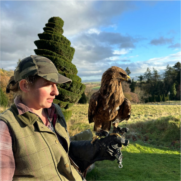 Game and Wildlife Conservation Trust Falconry at Fingask Castle