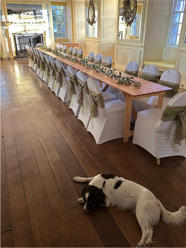 Christmas preparations in the Long Gallery at Fingask Castle