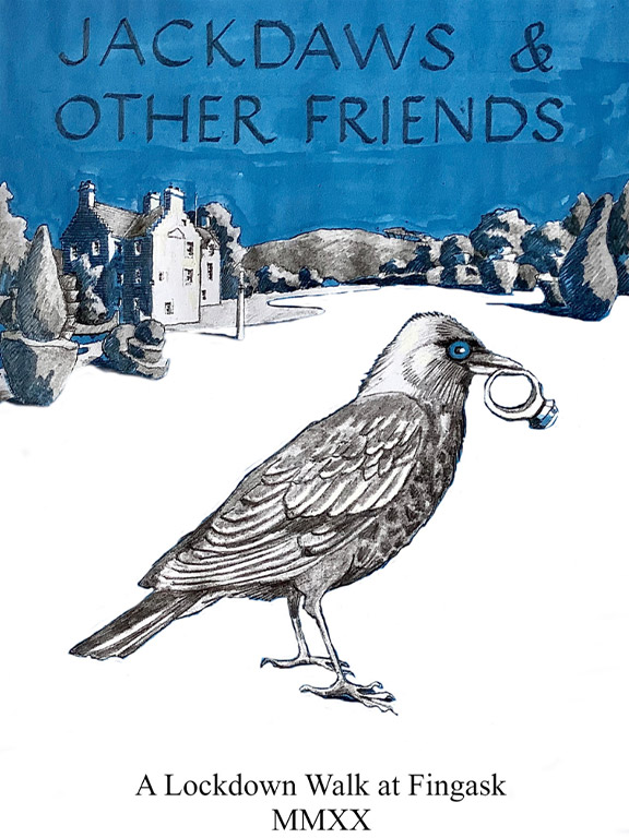 Jackdaws & other friends book launch